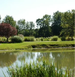 River Vale