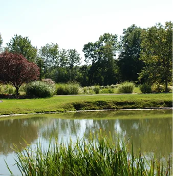About River Vale