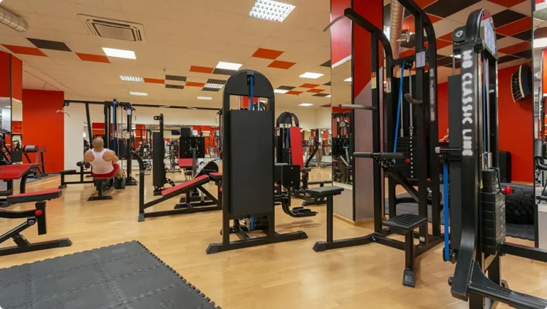 Shops, Gyms, Daycare & Services in East Rutherford, NJ (2025 Living Guide)