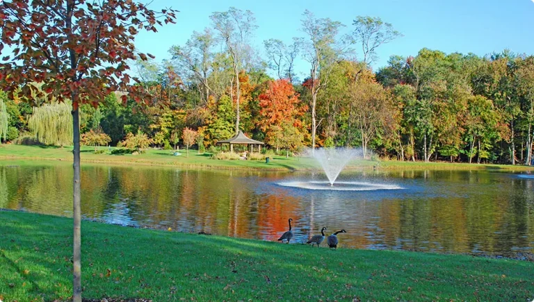 Things to Do in Haworth, NJ (2025): Local Attractions, Parks, and Community Spots