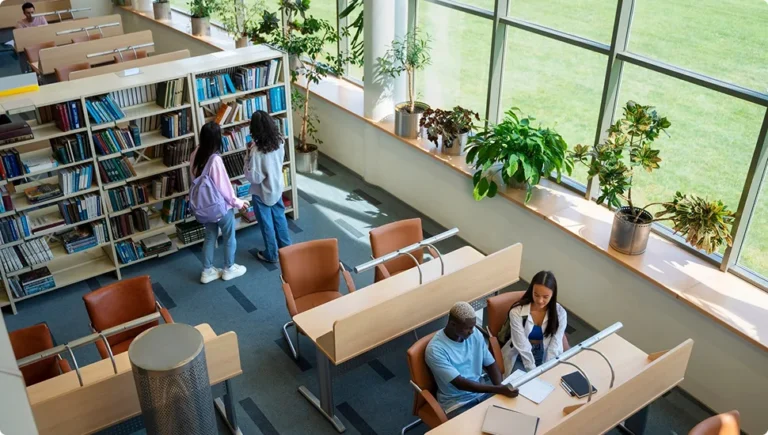 Schools, Libraries, Health & Civic Services in Hillsdale, NJ (2025 Guide)