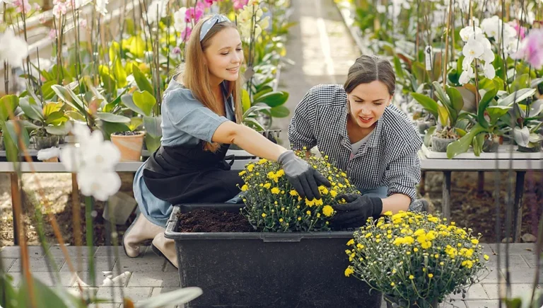 Home Services, Shopping & Lifestyle in Ho-Ho-Kus, NJ: A 2025 Local Guide