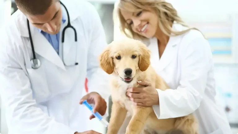 Your Guide to Medical Care, Wellness & Everyday Services in Oradell, NJ (2025)