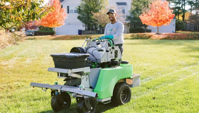 Services in Upper Saddle River, NJ (From Audi Dealers to Lawn Care)