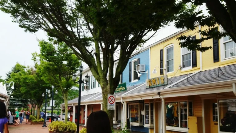 Shopping Local in Westwood, NJ (2025 Guide): Groceries, Boutiques & Everyday Essentials
