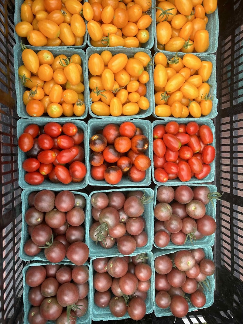 Closter Farm & Livestock Co.