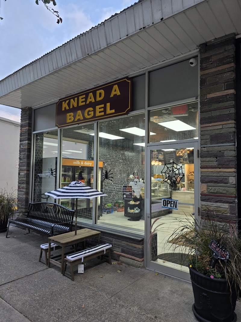 Knead A Bagel