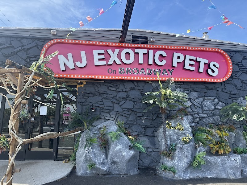 NJ Exotic Pets