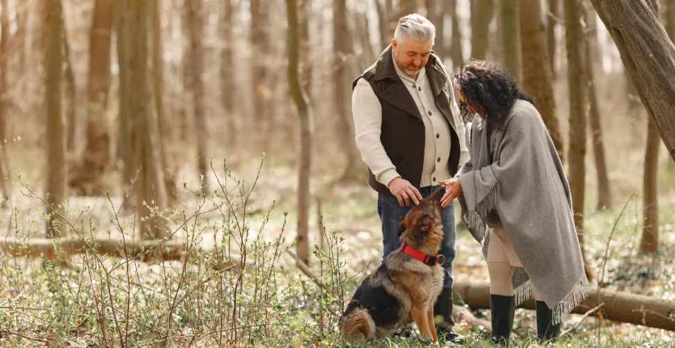 adopting-a-pet-in-bergen-county