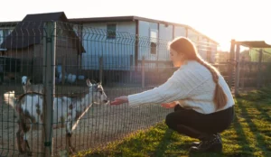 Animal Shelters in Bergen County NJ: Adoption, Surrender & Local Resources