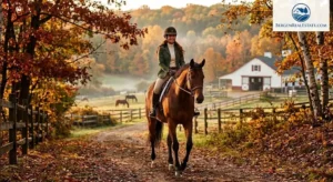 The Equestrian’s Guide to Bergen County: Premier Riding, Training, and Horse Sanctuaries